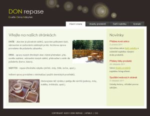 repairs